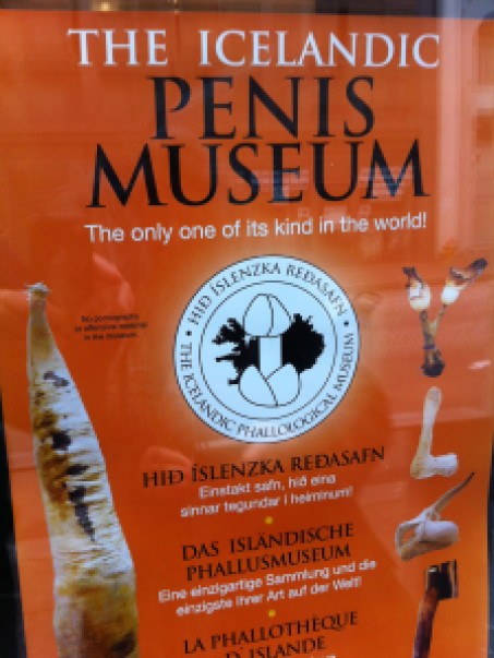 penis-museum